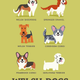 Illustration for article titled Adorable Drawings of Dog Breeds, Grouped By Their Place of Origin